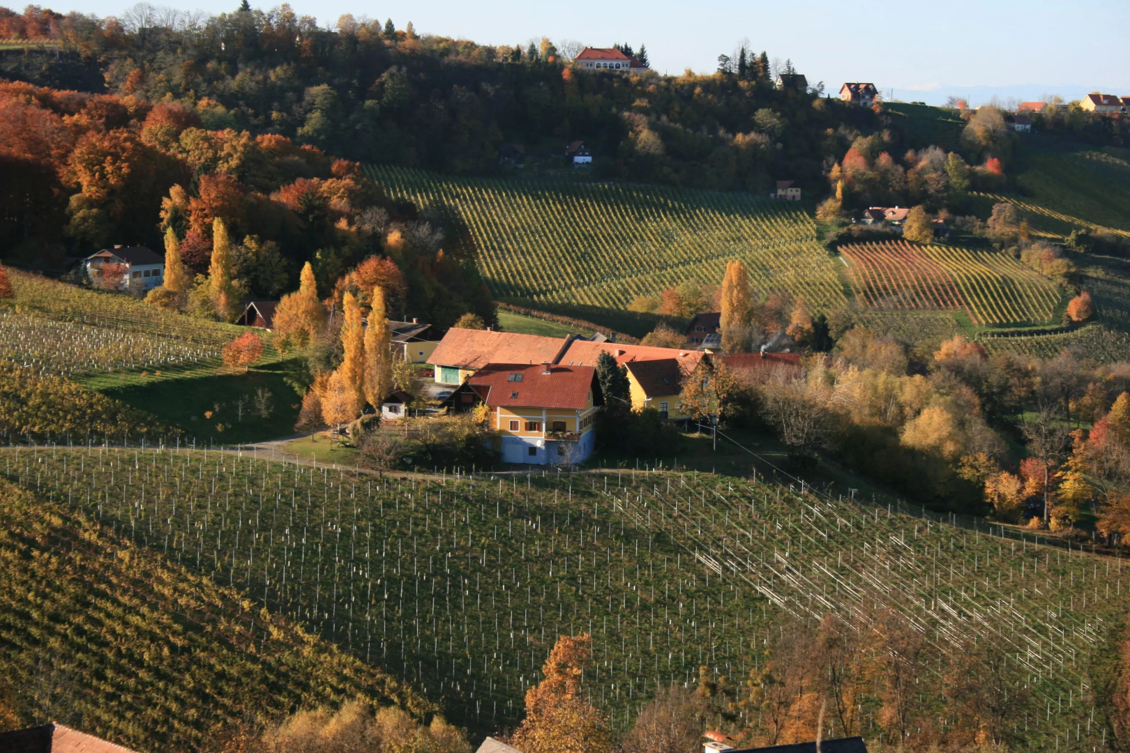 Weingut Primus - Südsteiermark