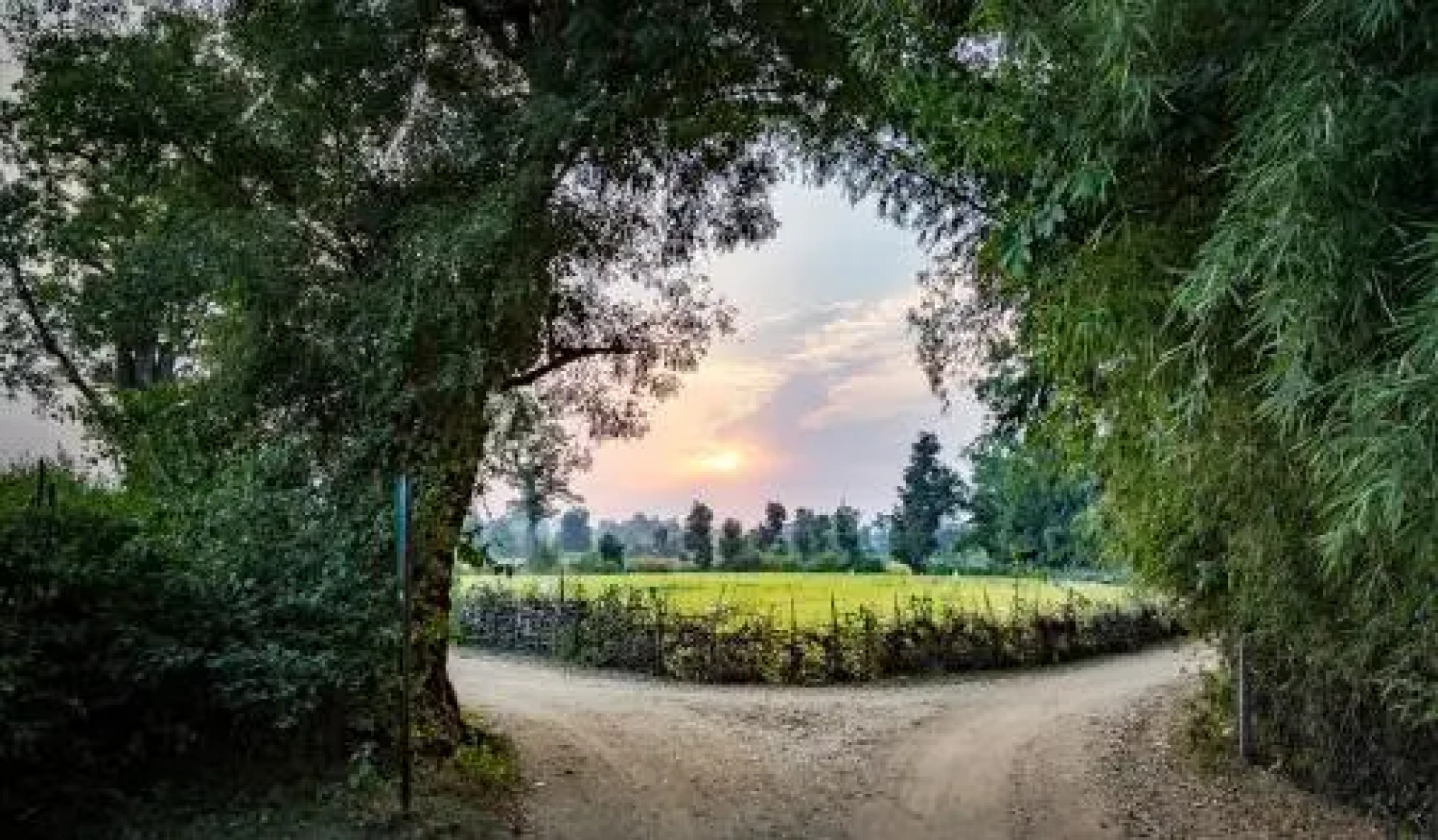 Tree House Hideway Bandhavgarh