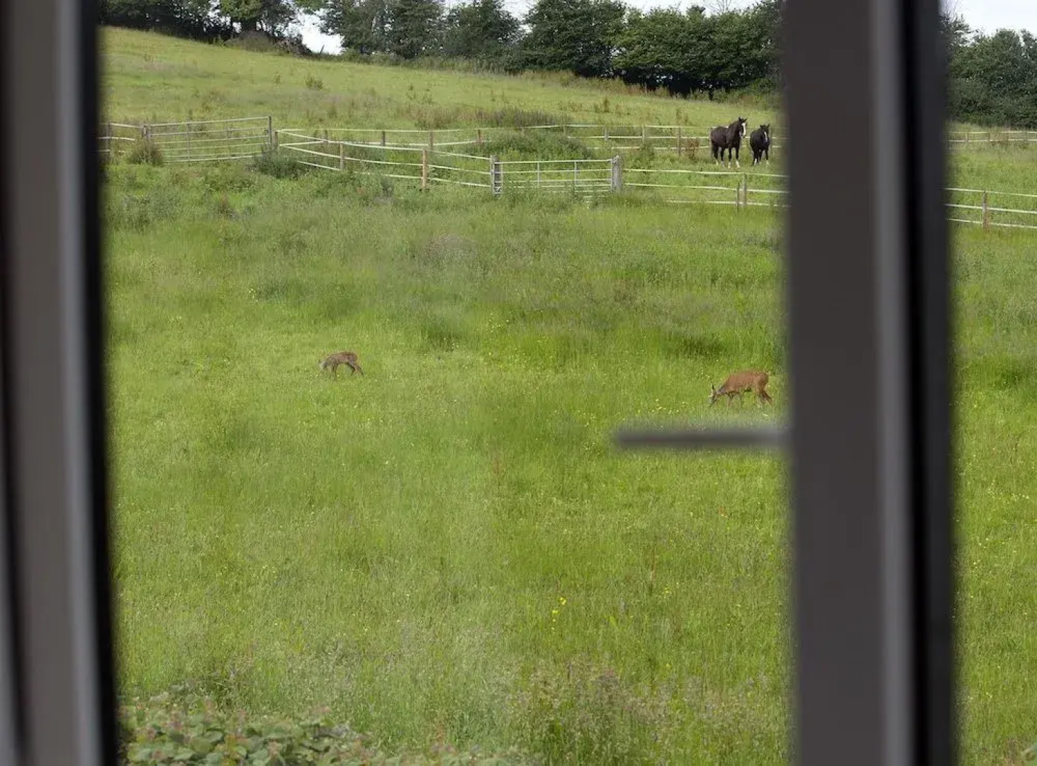 The Old Malt House Hotel