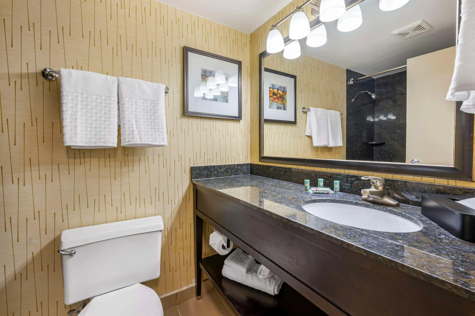 Best Western Chicago - Downers Grove