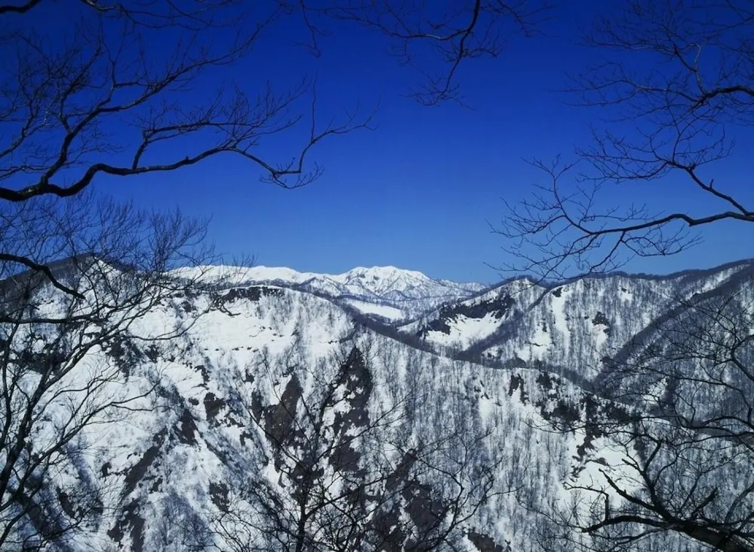 Buna no Sato Shirakamikan