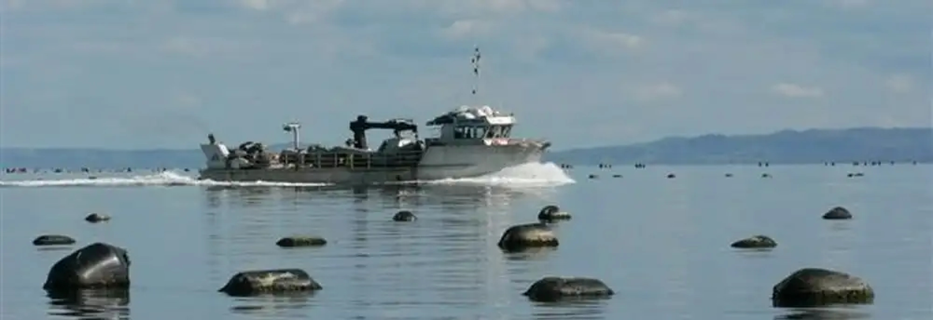 Tidewater Motel and Tourist Park - Hostel