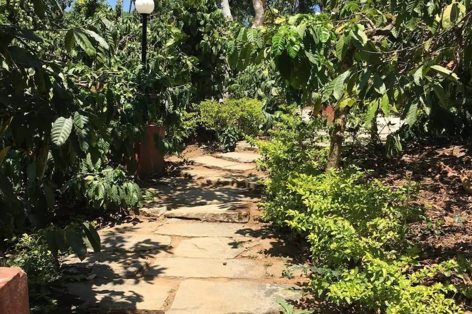 Abbydhama Estate Home Stay