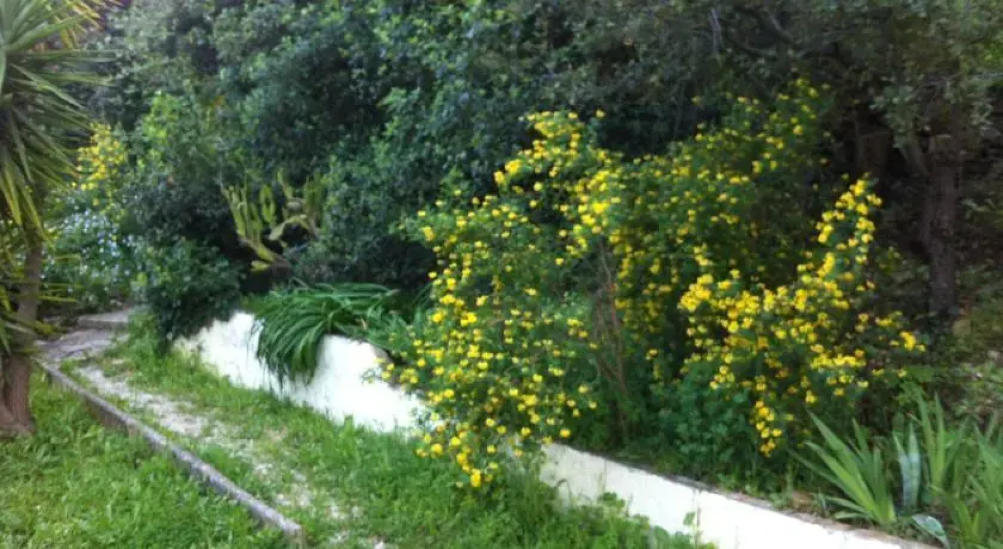 Domaine des hauts de sauvebonne