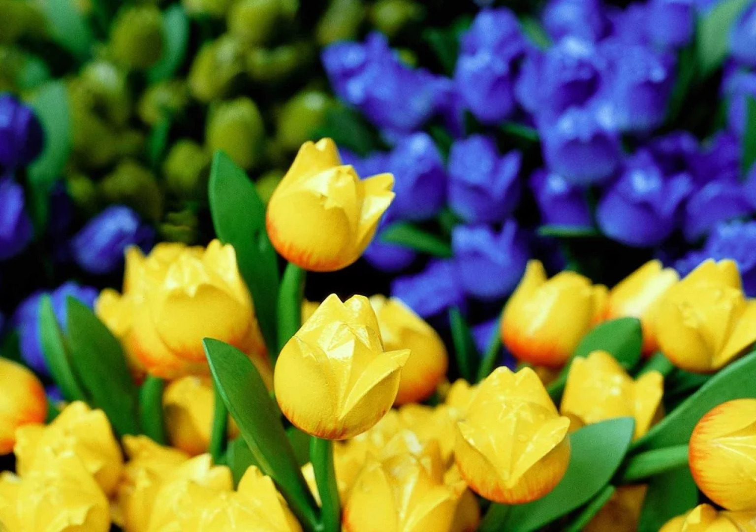 Novotel Amsterdam Schiphol Airport