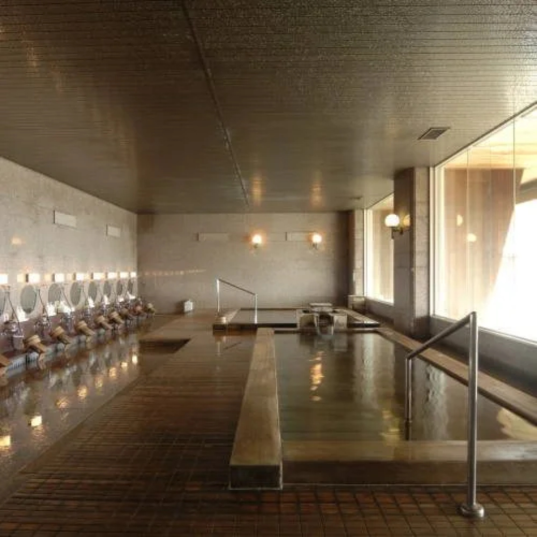 Hotel Tokaien
