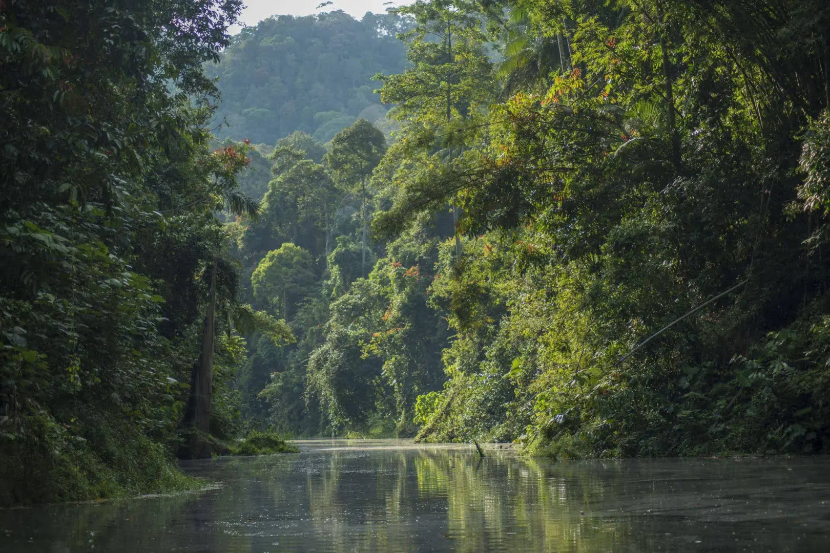 Belum Adventure Camp