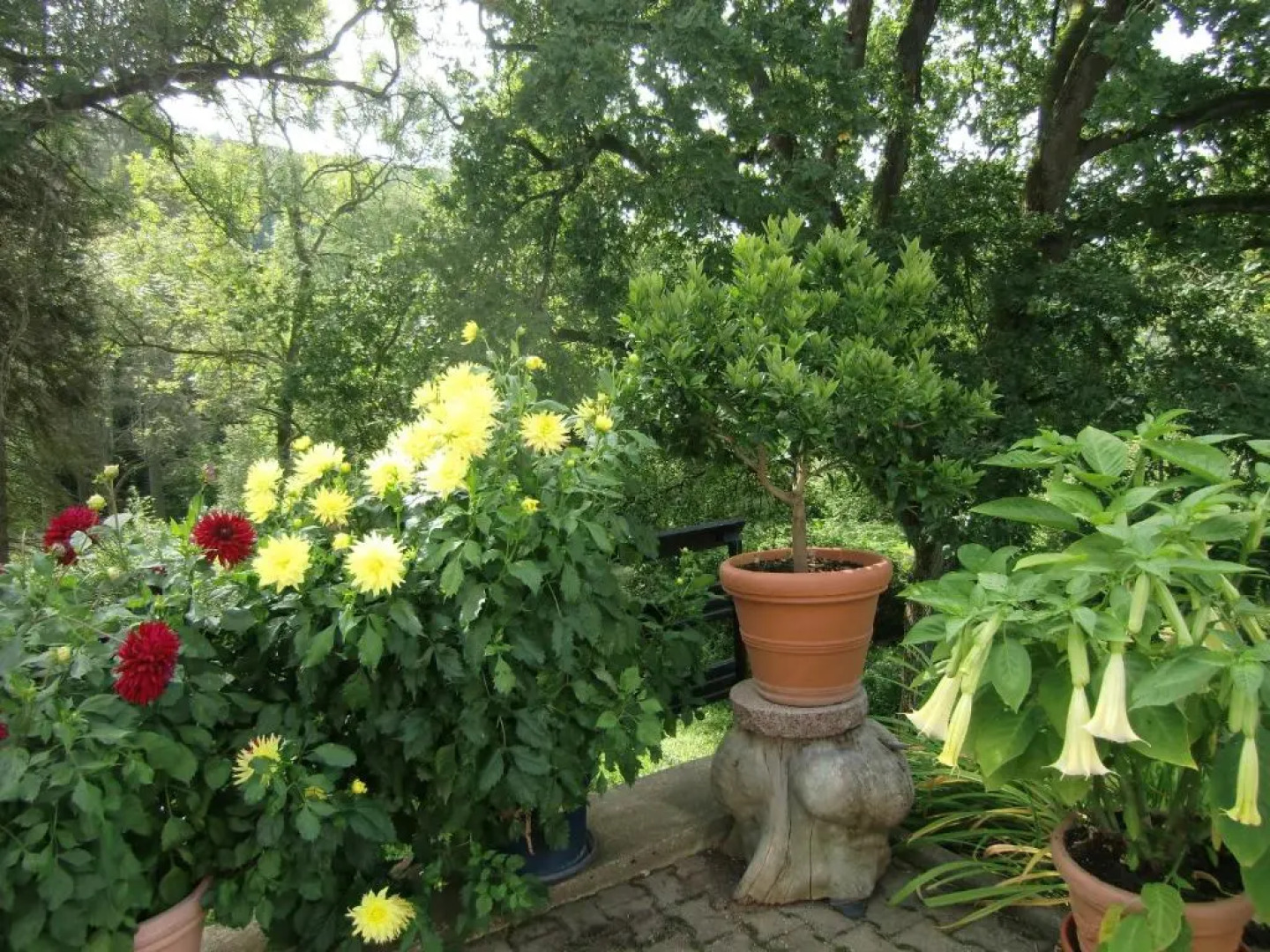 Ferienhaus Haus am Wald