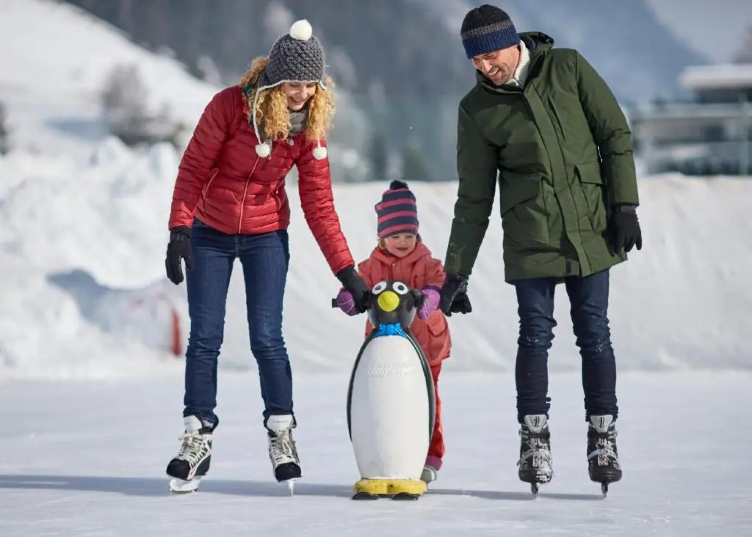 Alp Chalet Appartement