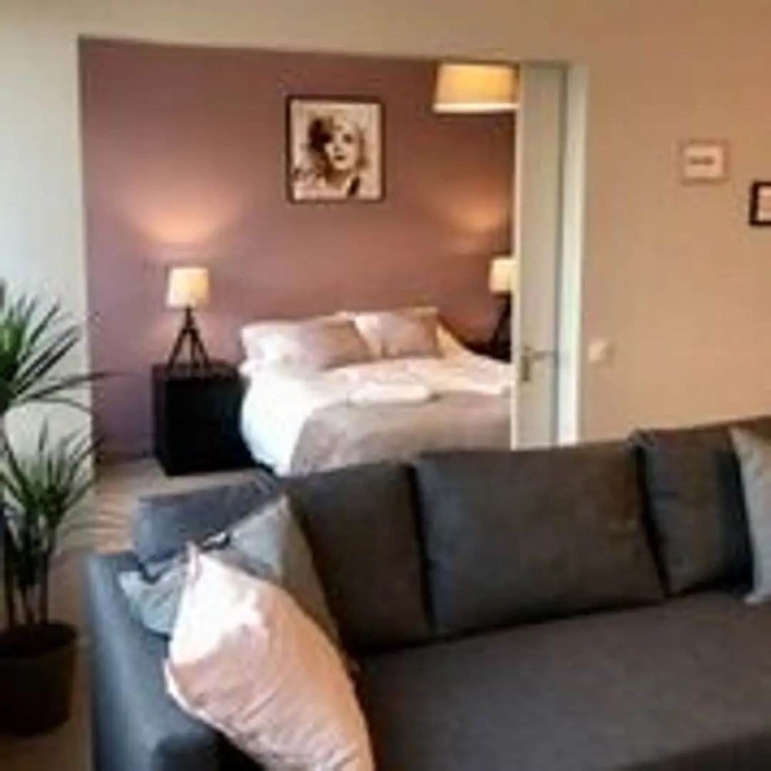 La Vie en Rose - Appartement Centre