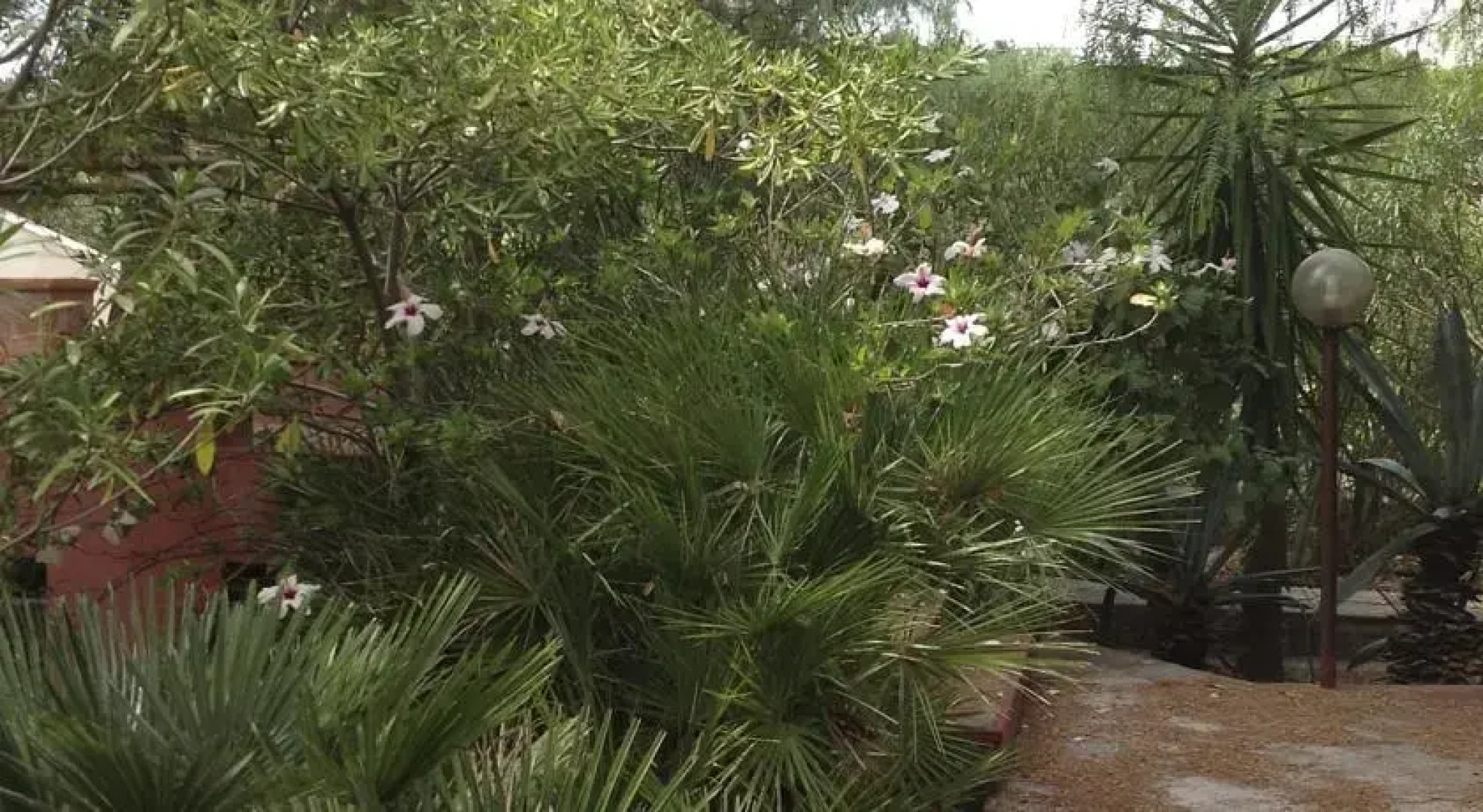 Khalisah Villa al Mare