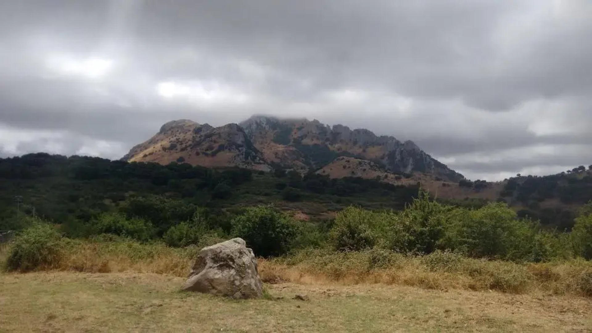 Agriturismo Bosco Pianetti