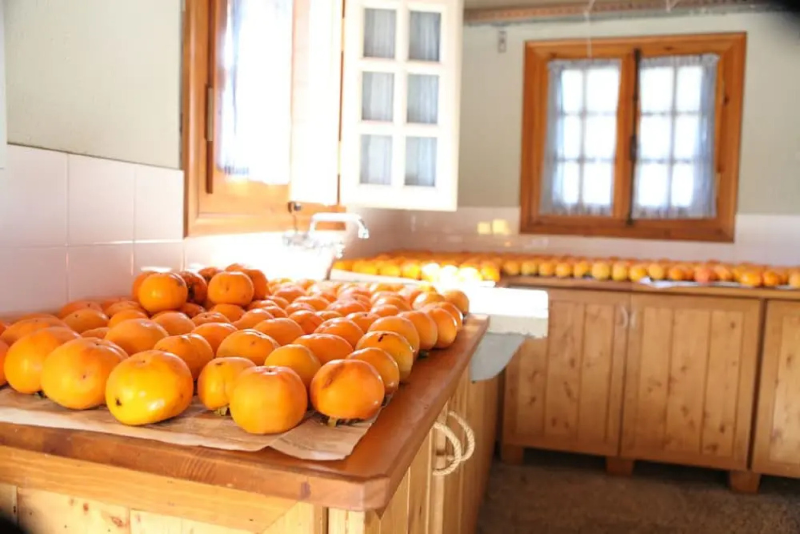 Vasilikia Mountain Farm & Retreat