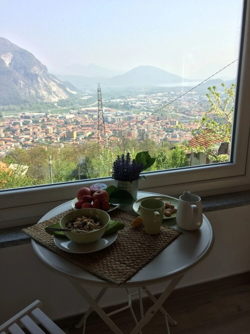 Il riccio di Ricciano