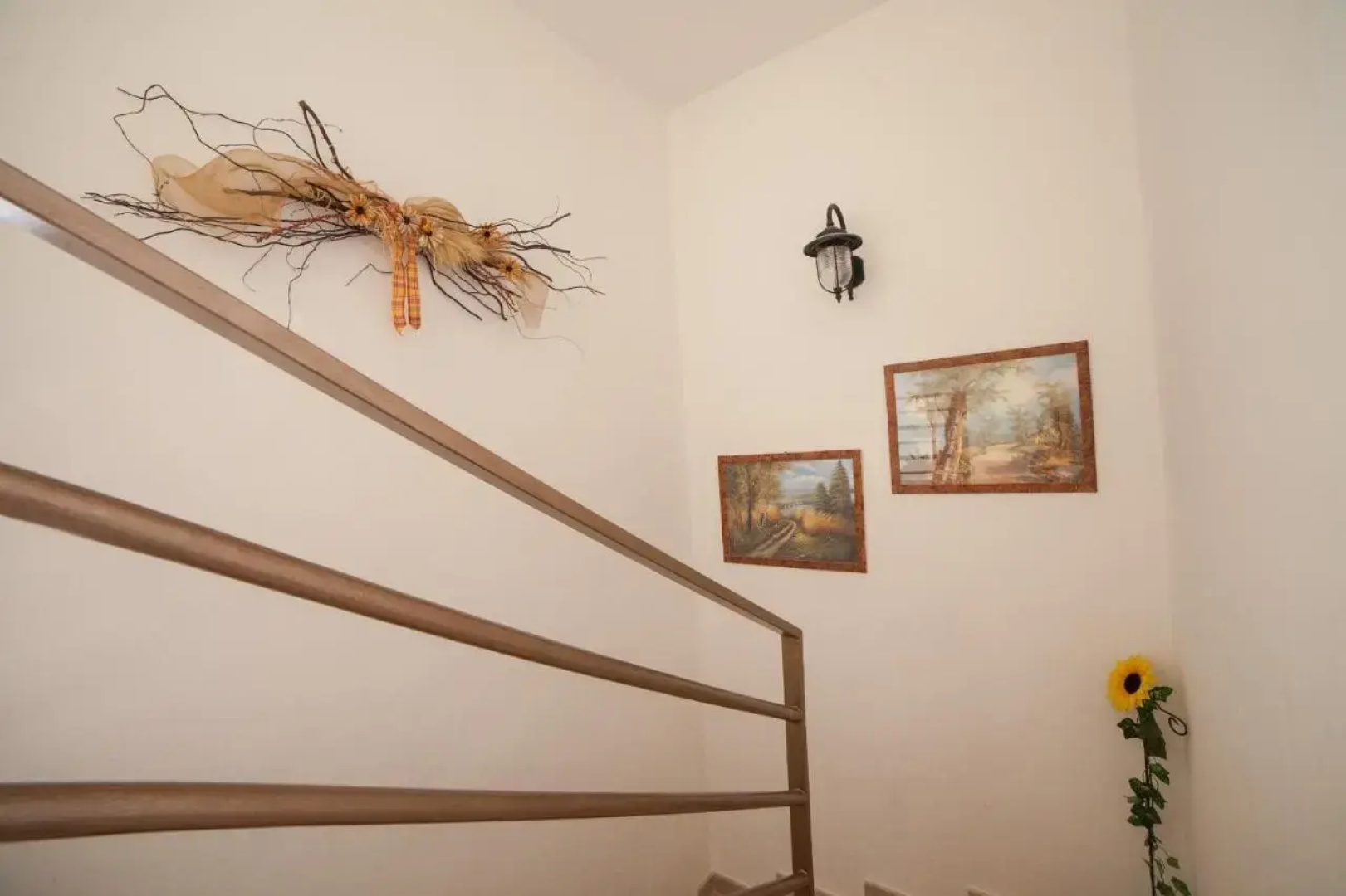 Guest House Hodak