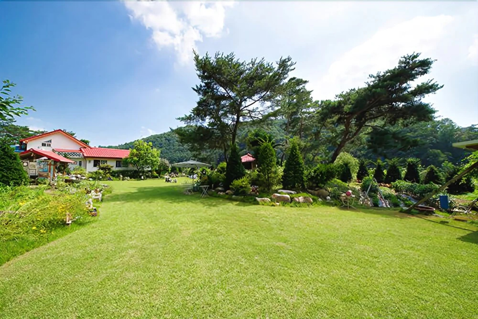 Yangpyeong Dandelion Pension