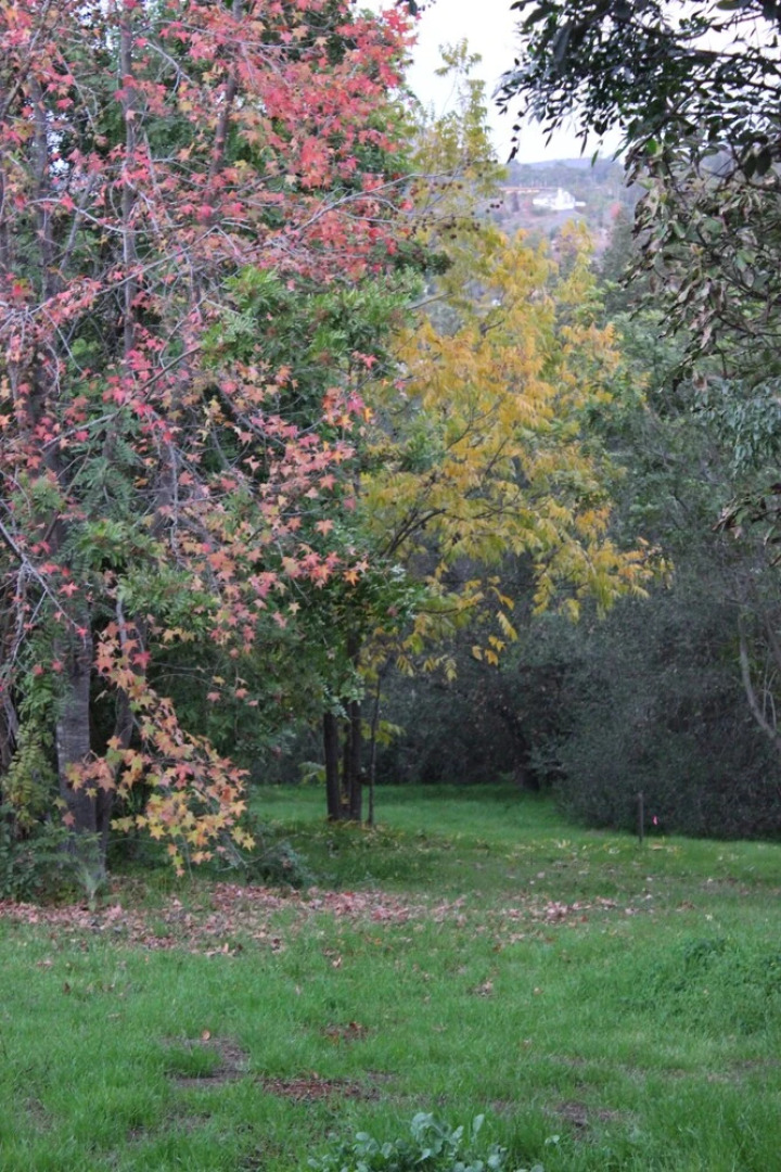 Sandra D's Country Guest House