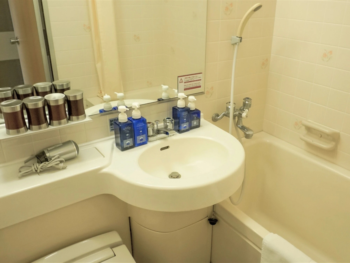 Lake Akan Tsuruga Wings