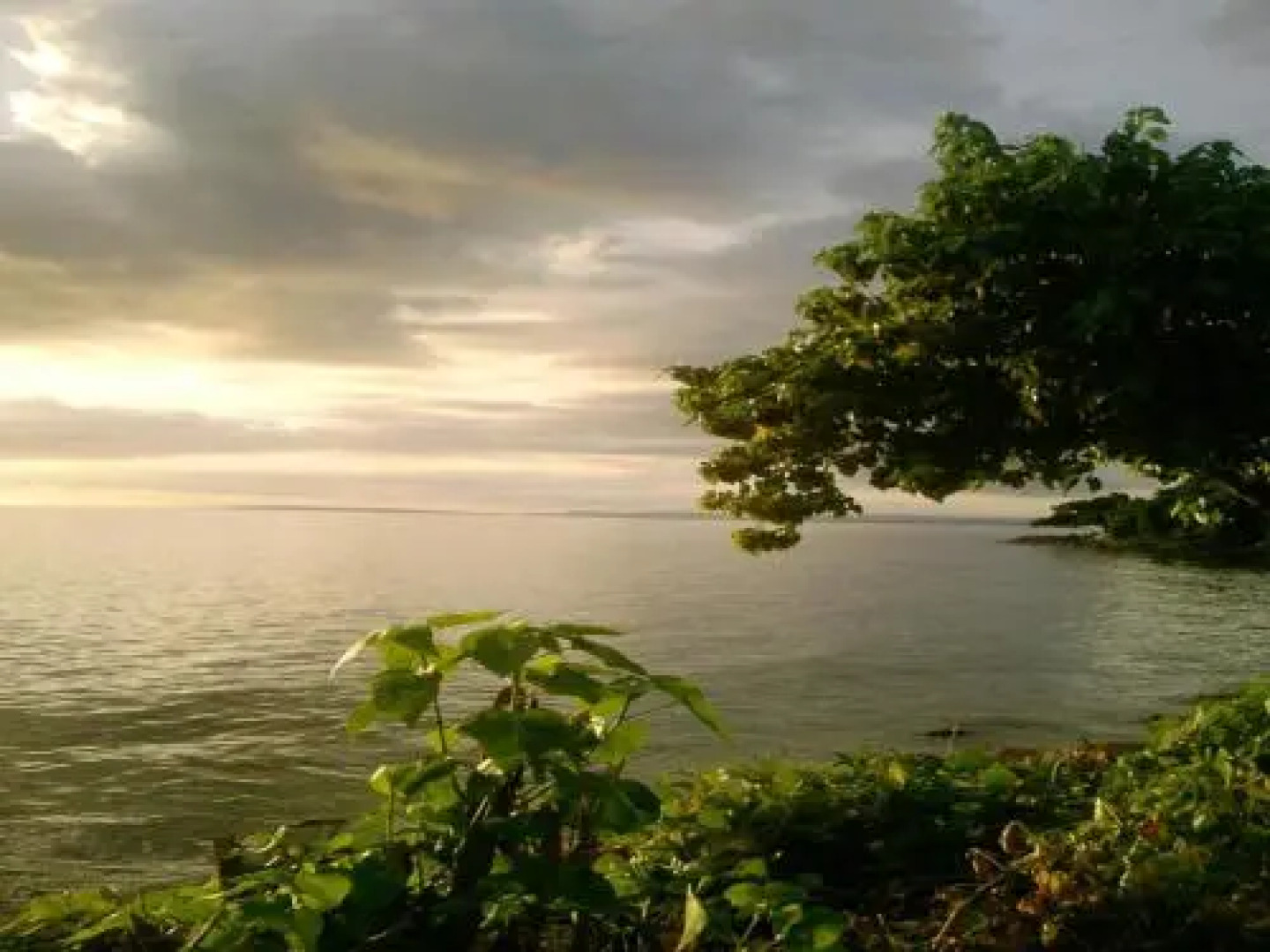 Shades Cottage Guesthouse