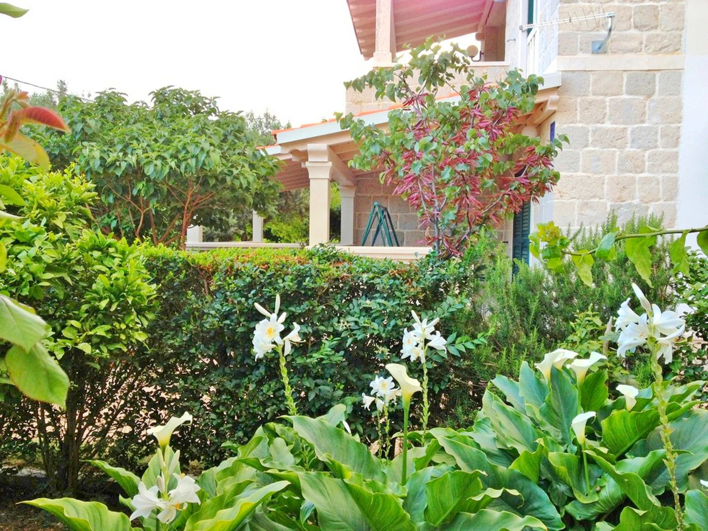 Apartments Iskra Duce