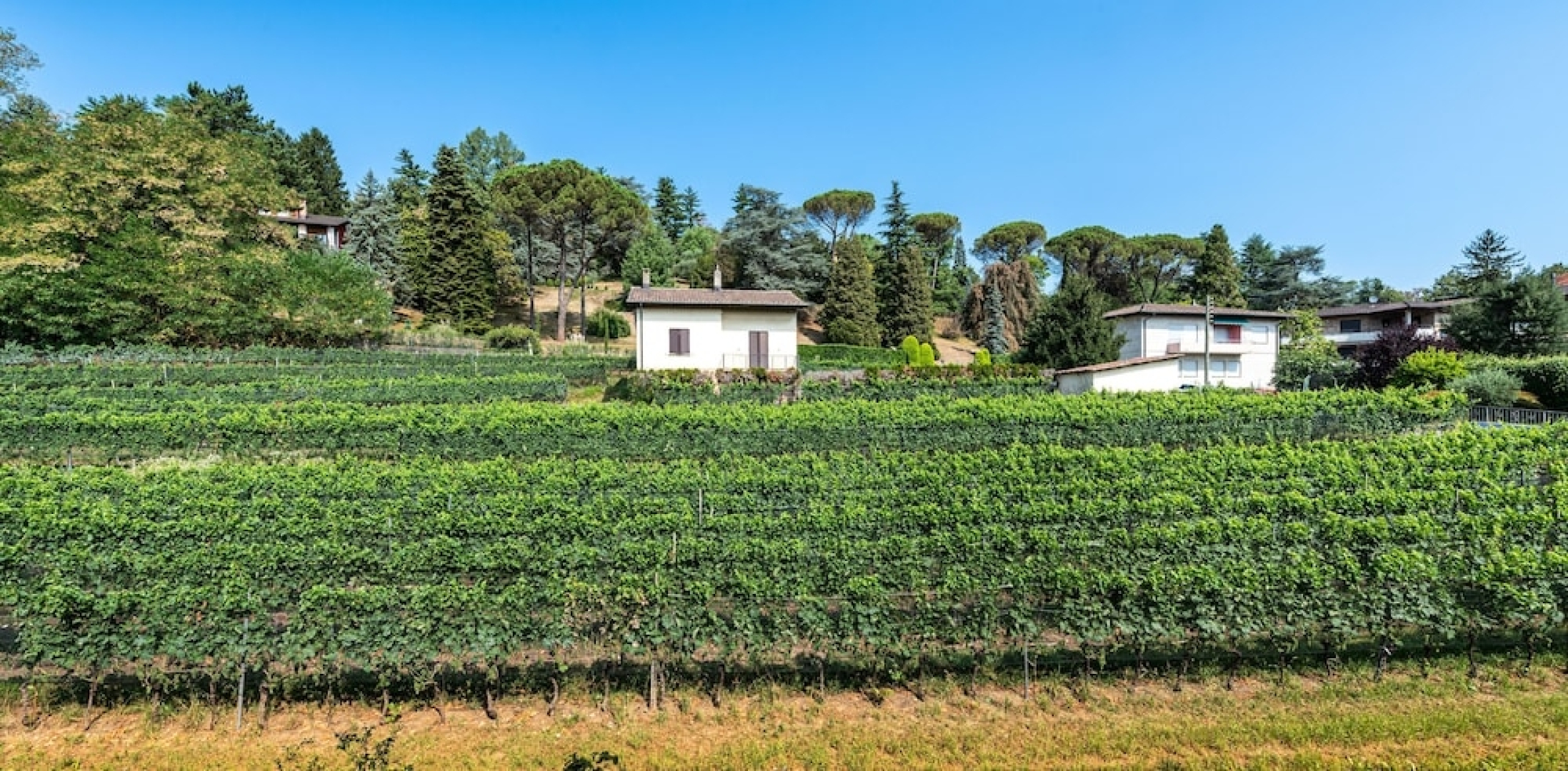 Elegant Stylish Apartment in a new Modern Complex
