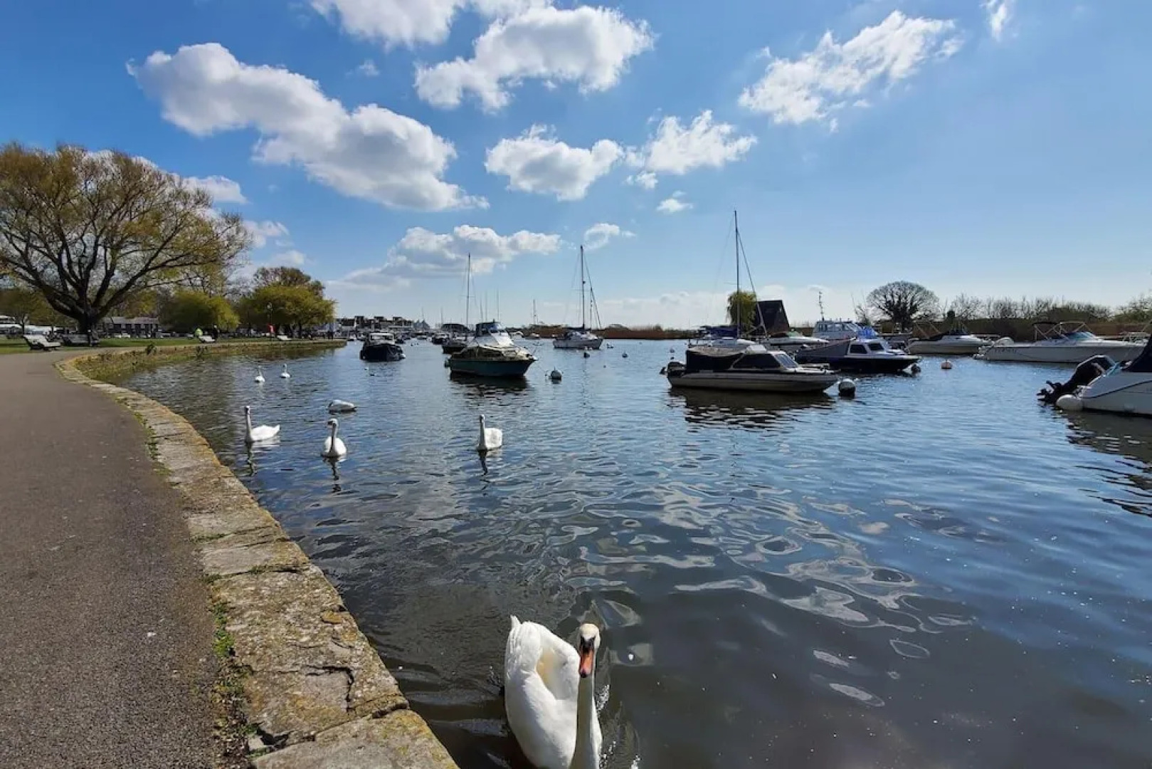 The Cedarwoods - Luxury Studio for 5!