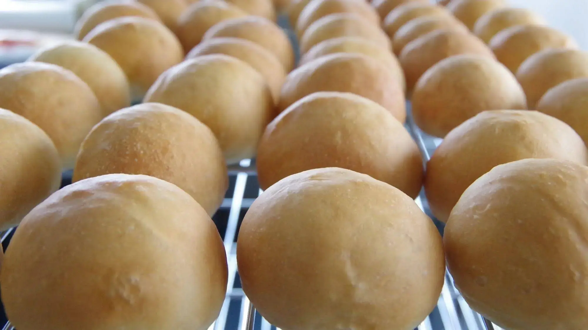 Gassan Pole Pole Farm