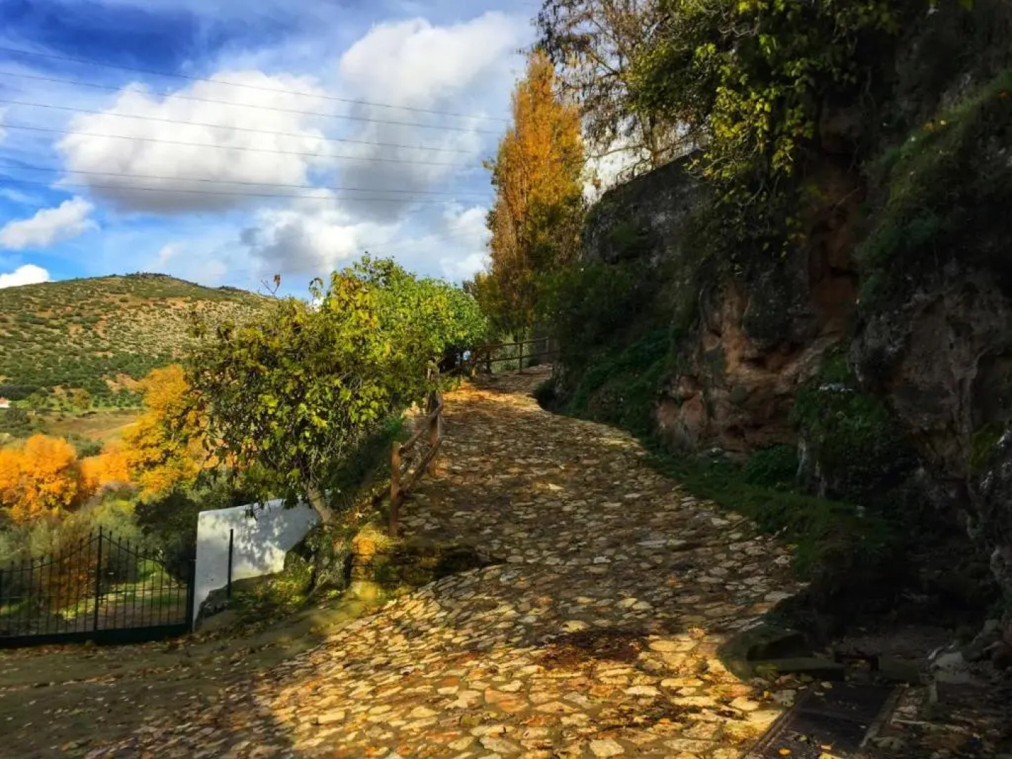 Casa Rural El Puente