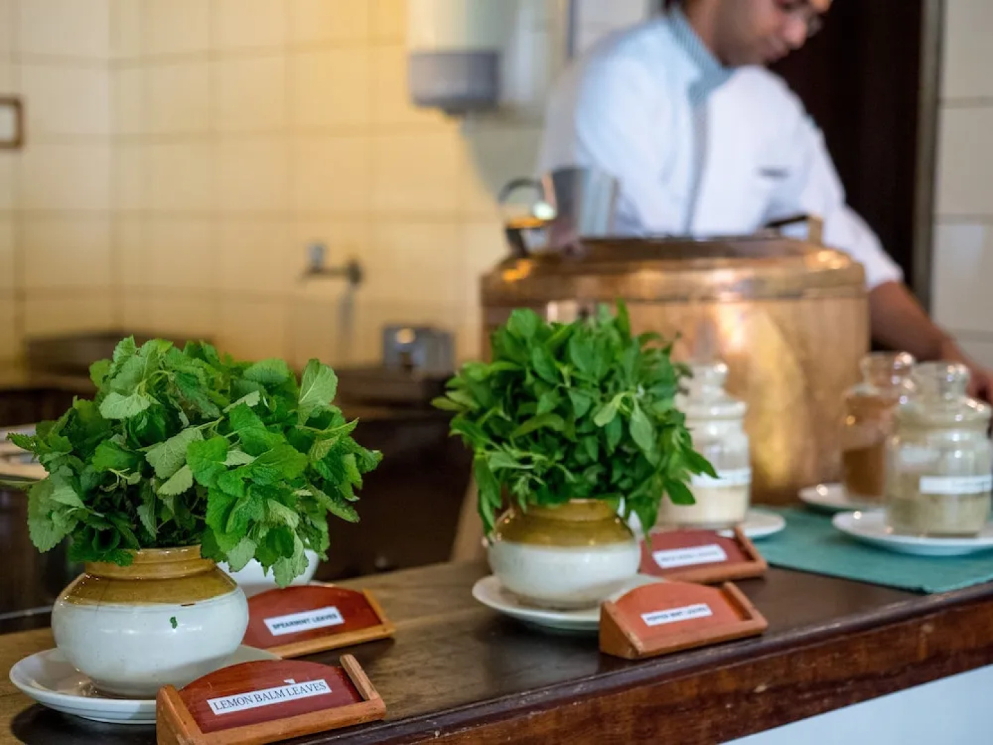 Spice Village-CGH Earth