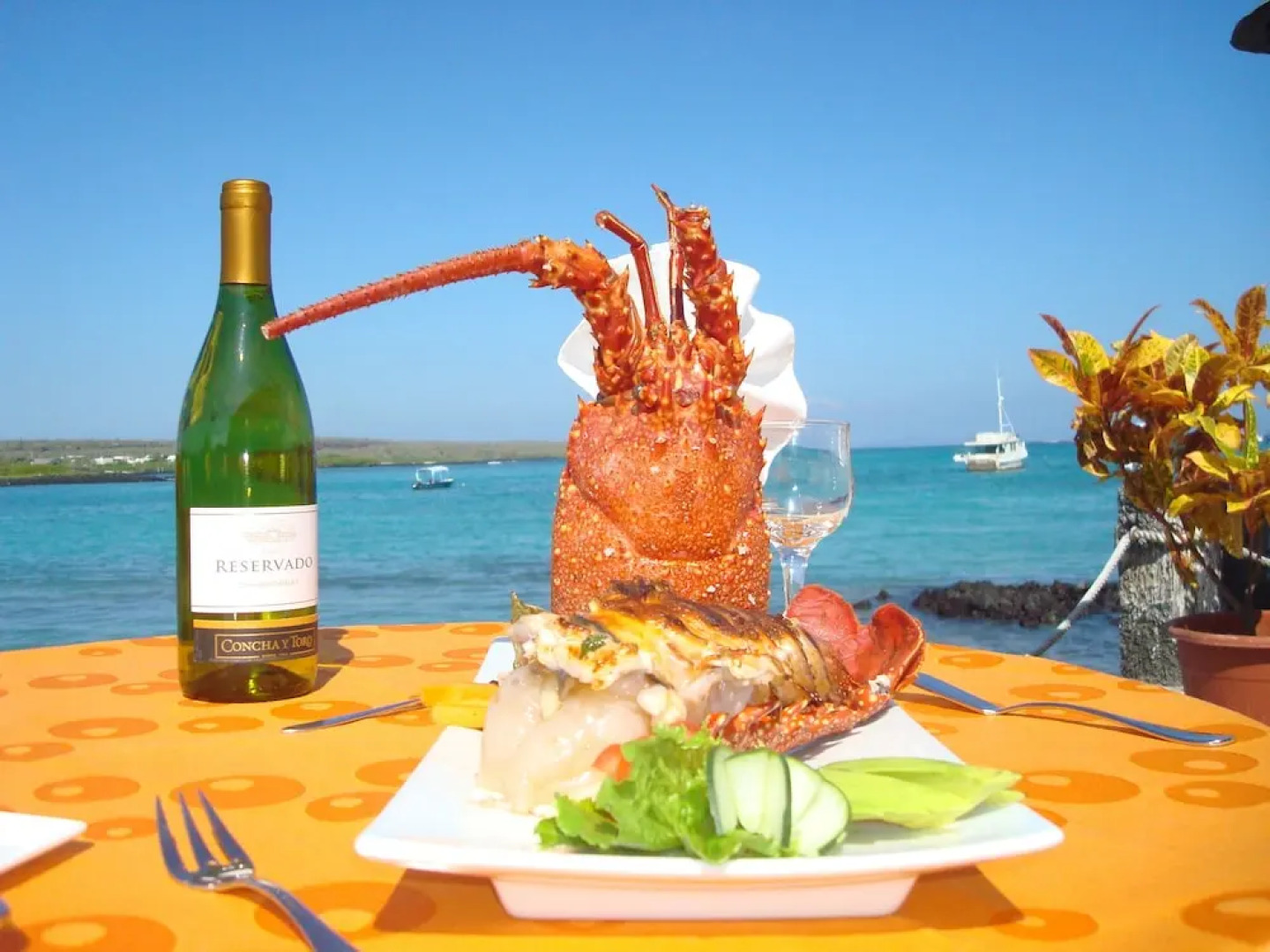 Solymar Torre Principal