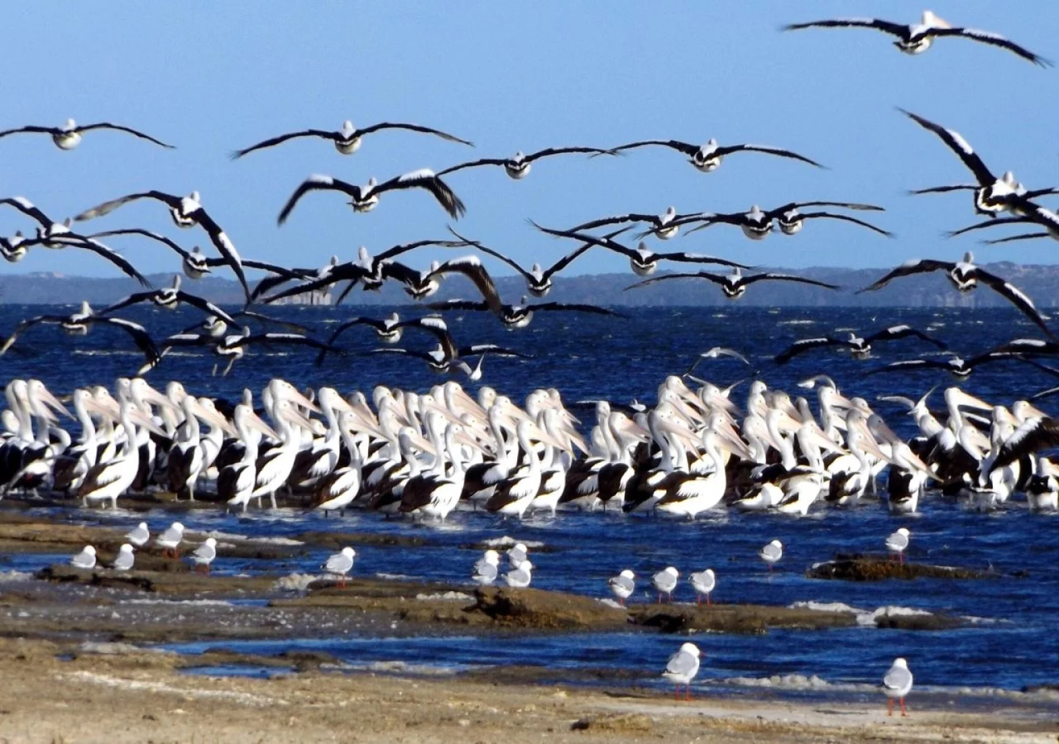 Coorong Waterfront Retreat