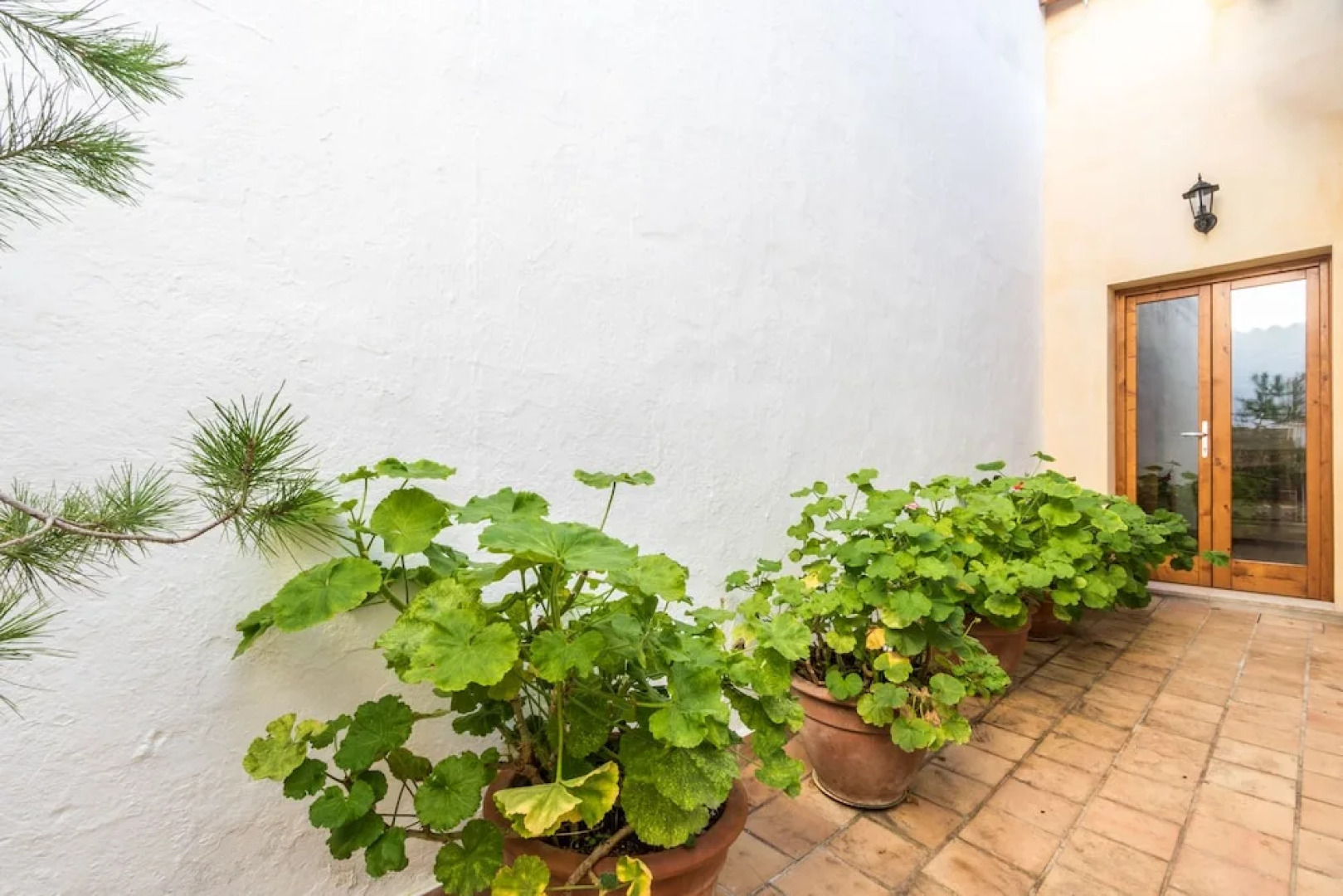 Bewitched Granny's House