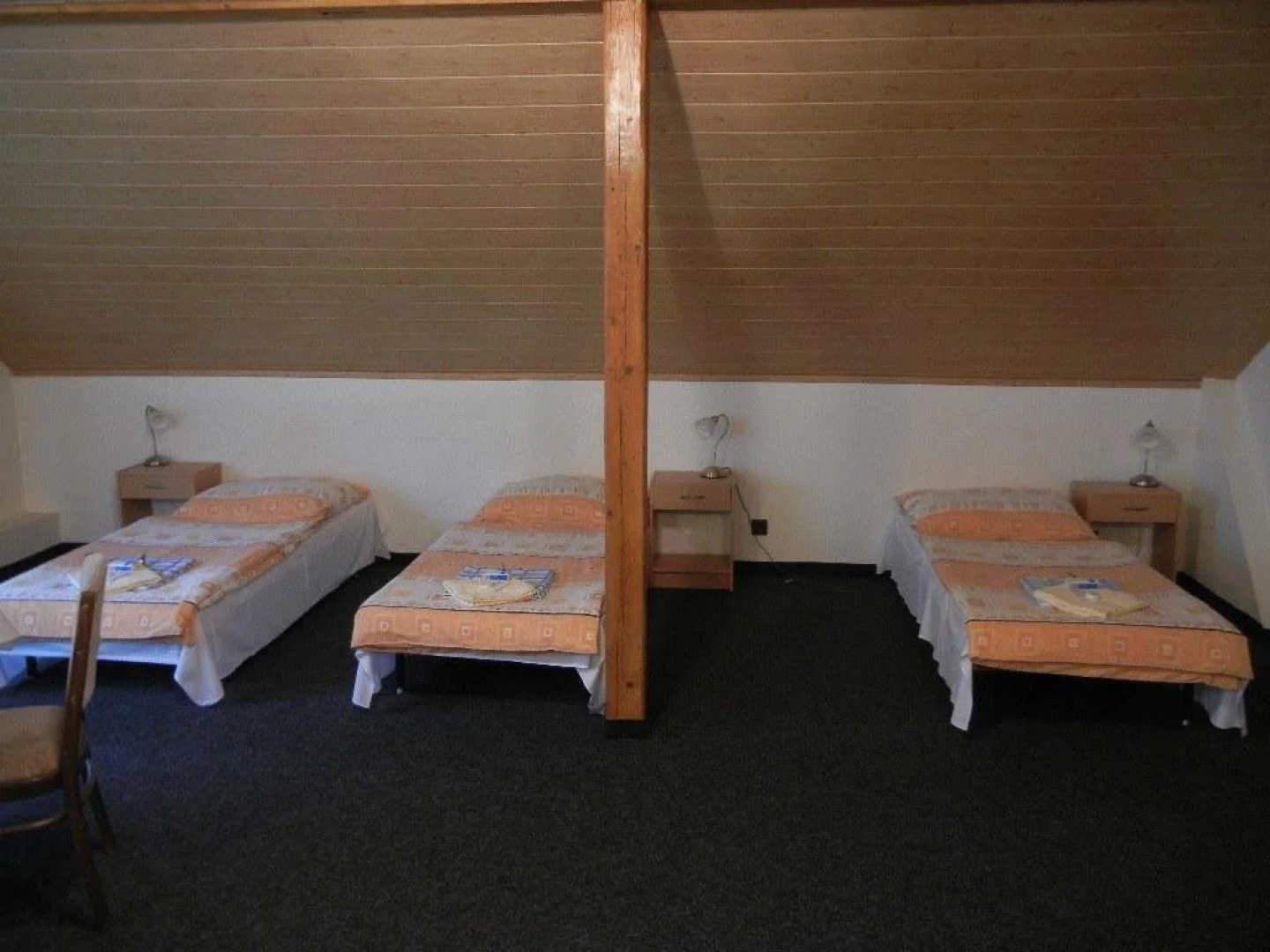 Guest House Pod Lesem Merklín