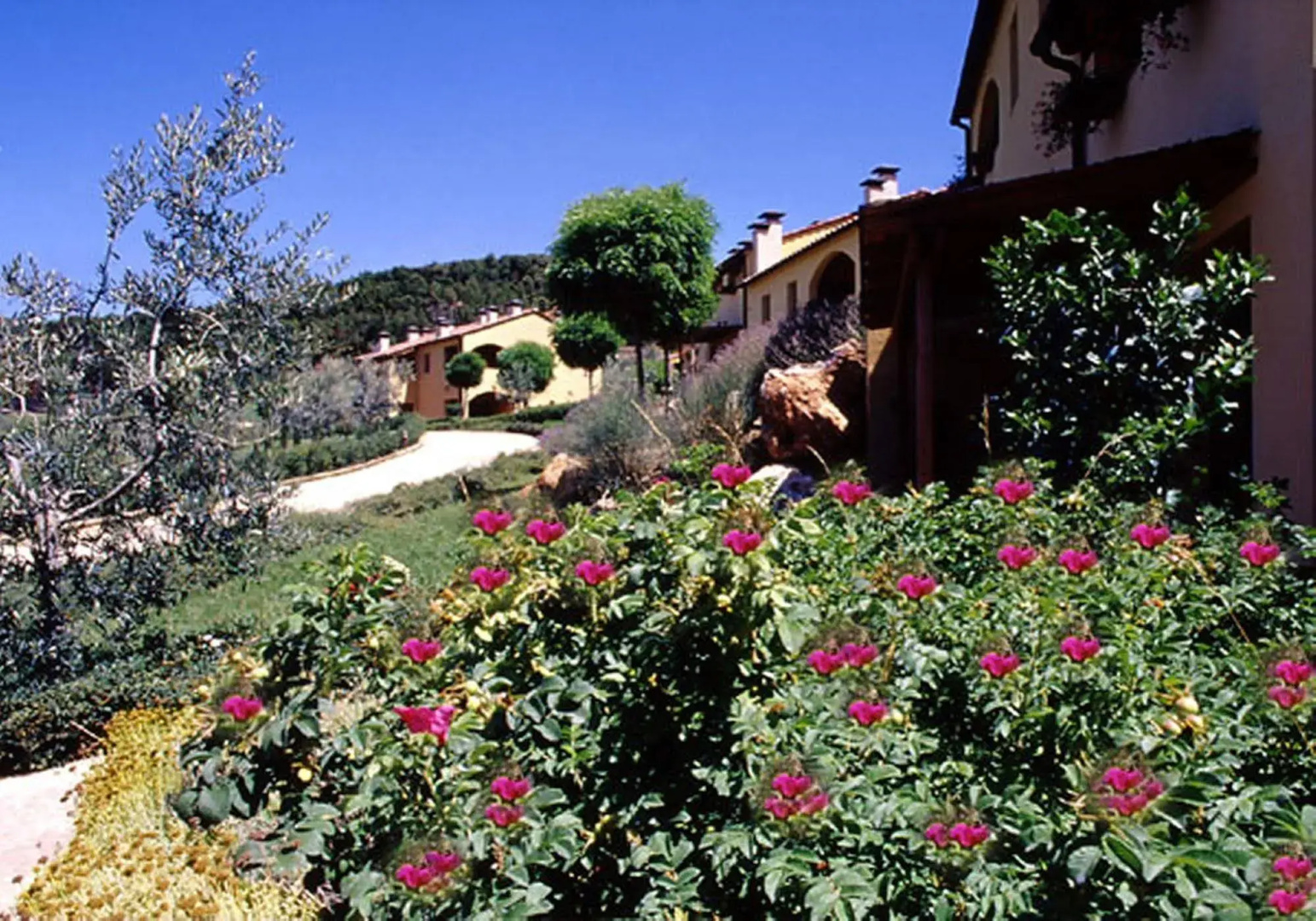 Borgoiano In Toscana