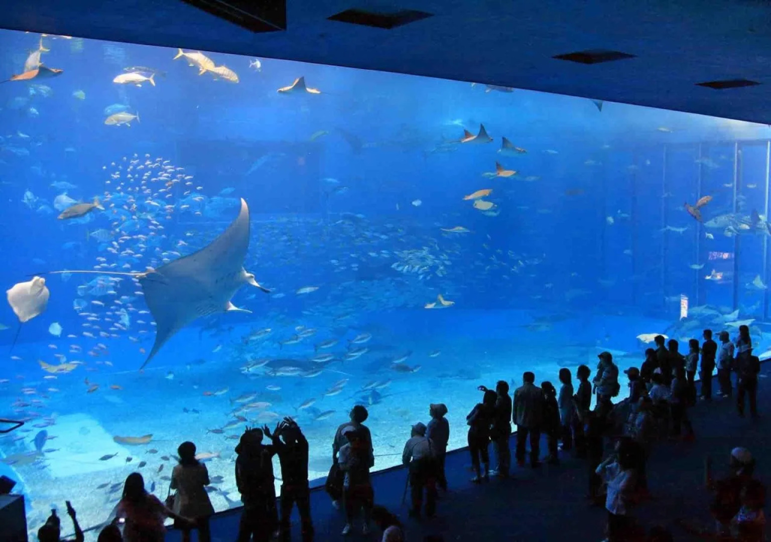 Hotel Southern Village Okinawa