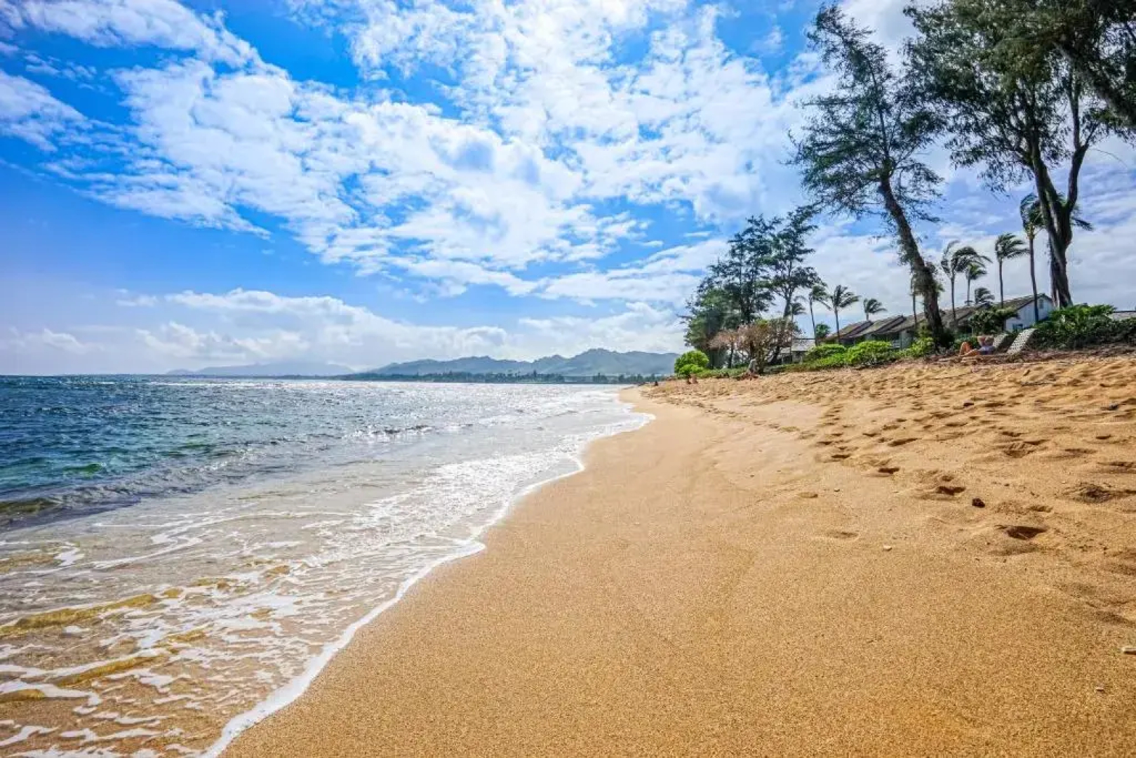 Islander On The Beach 258