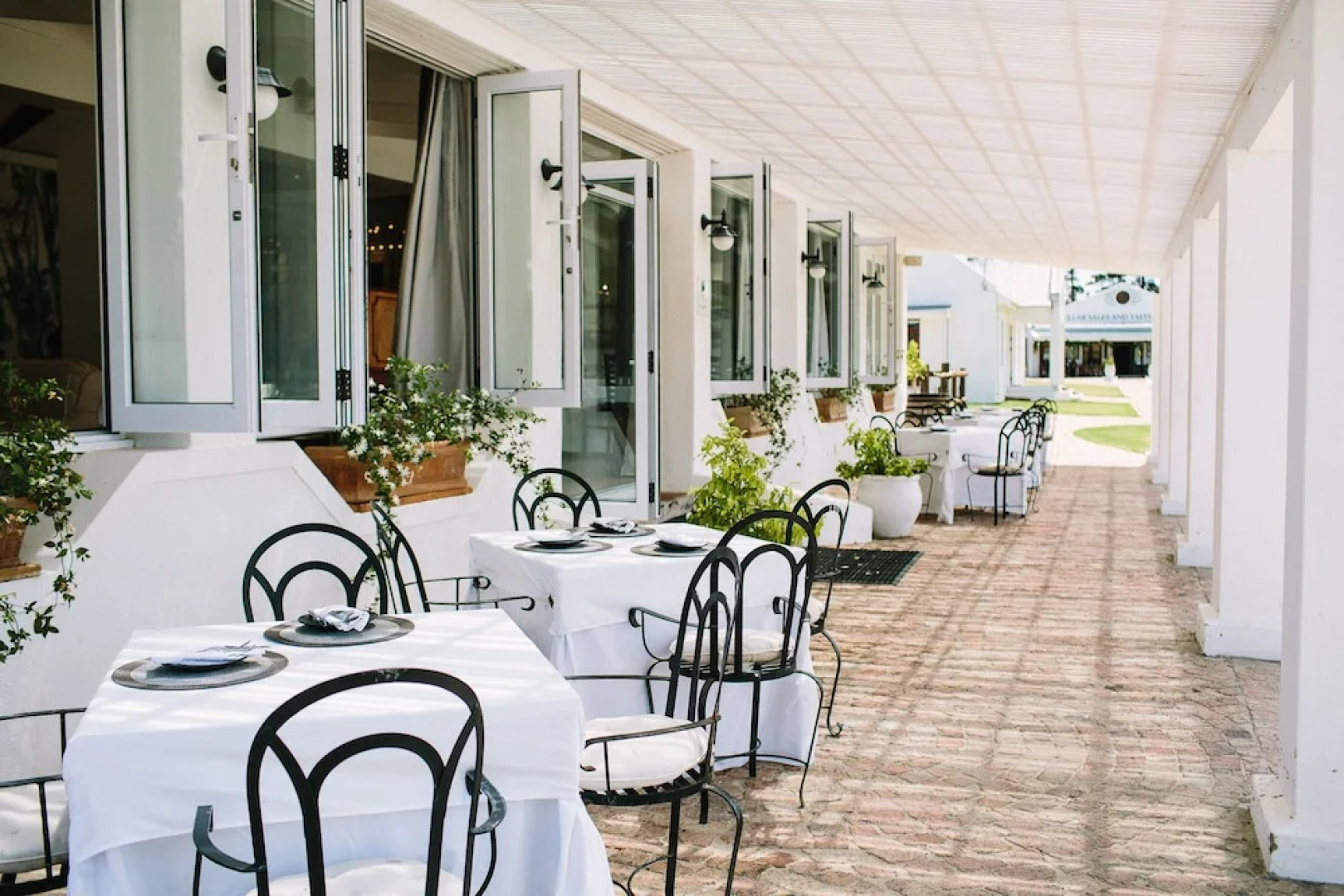 Endless Vineyards at Wildekrans Wine Estate