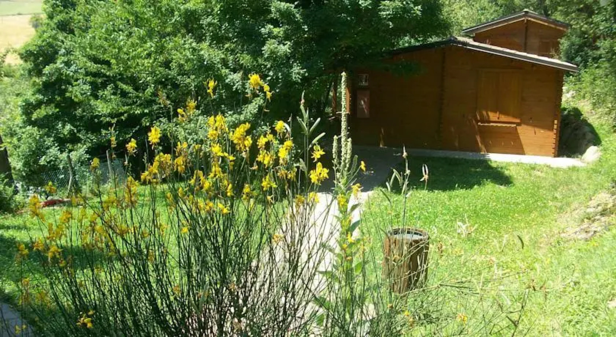 Parco Matildico Di Montalto