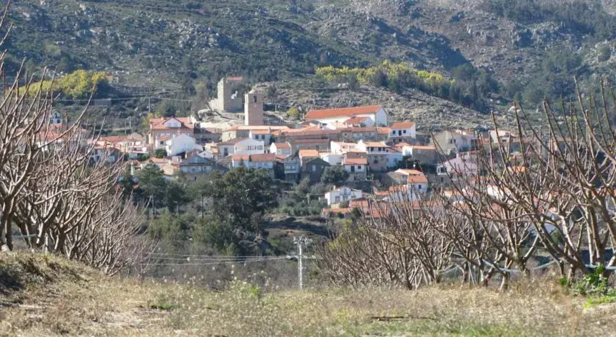 Quinta do Borracheiro
