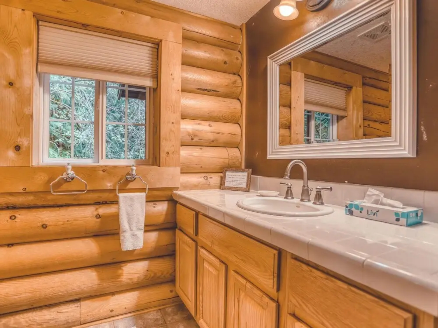 Forest View Lodge