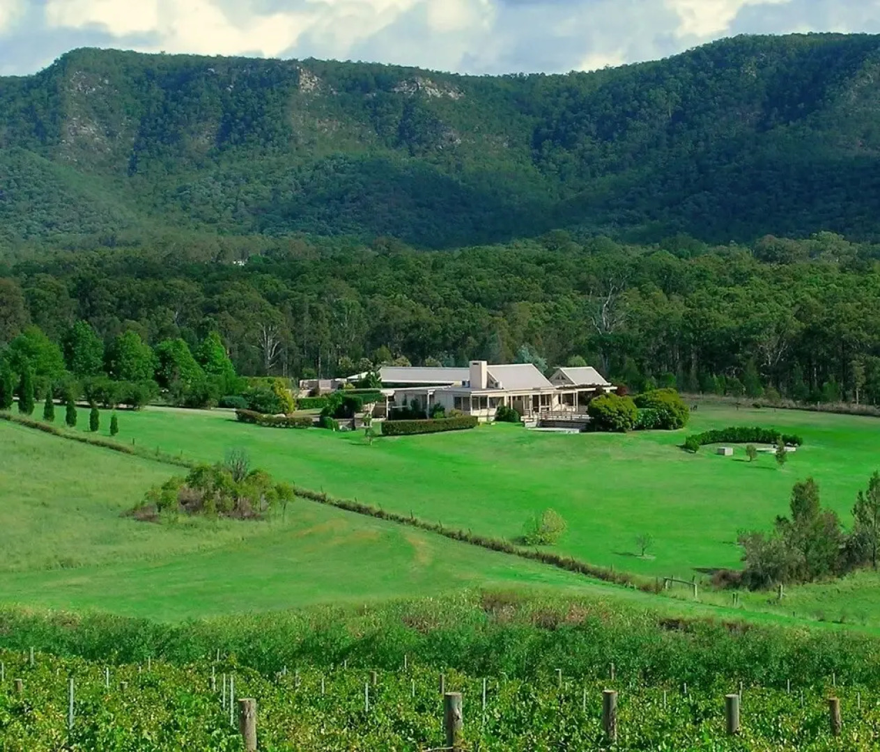 Grapevines Boutique Accommodation