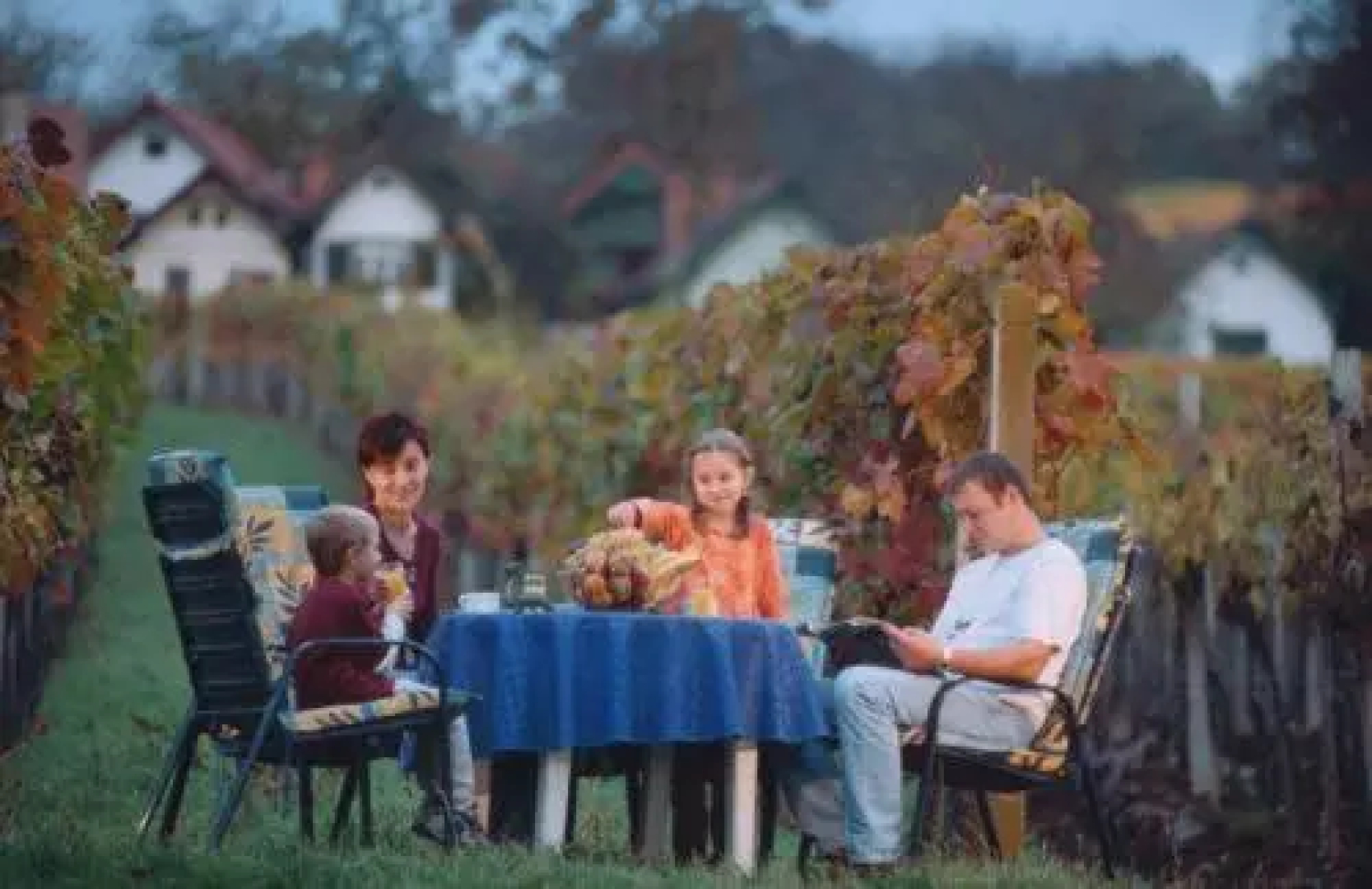 Gasthof Hotel Zum Weinberg