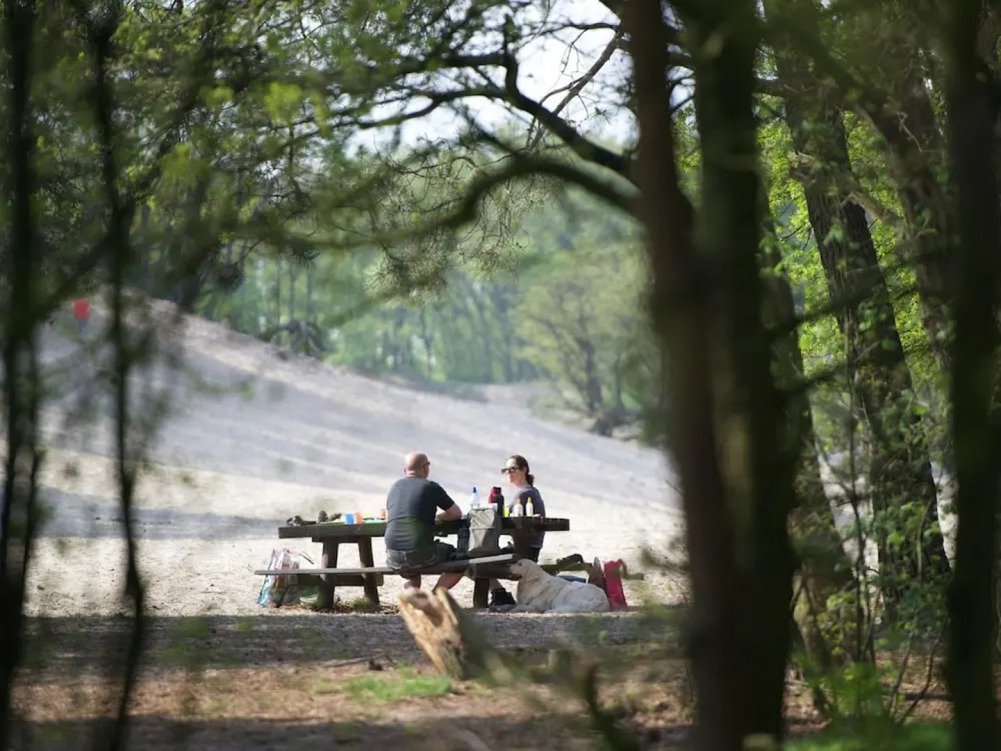Apartment in Netherlands Near Scenic Canals