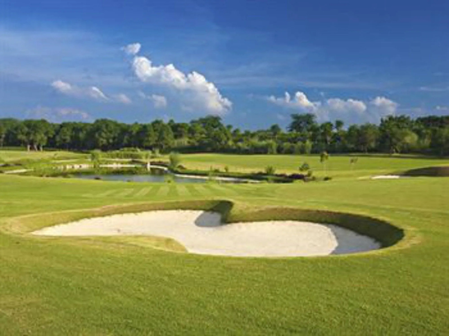 Lemon Tree Hotel Tarudhan Valley