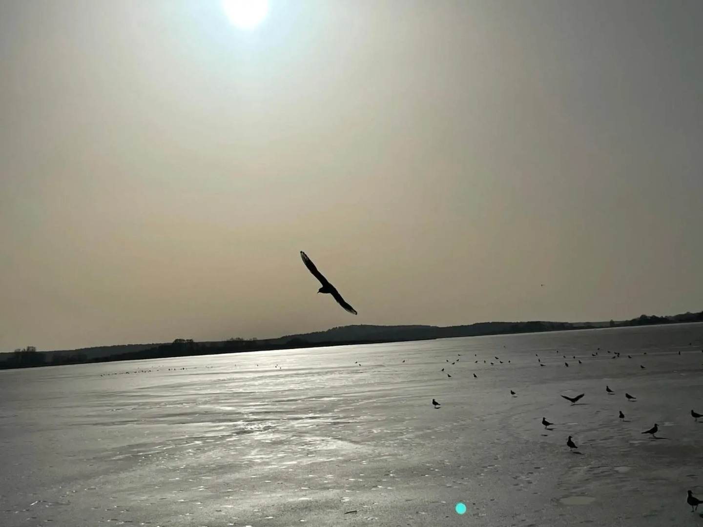 Appartement Seebadallee