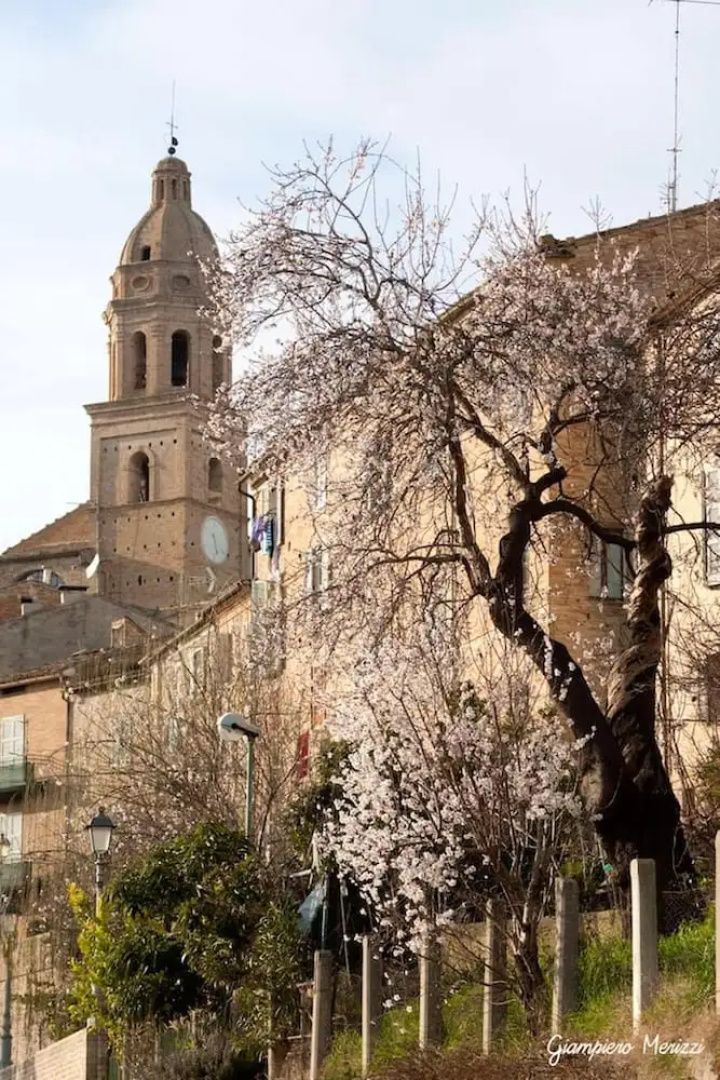 Apartment With one Bedroom in Monte San Pietrangeli, With Wonderful City View and Wifi - Near the Beach