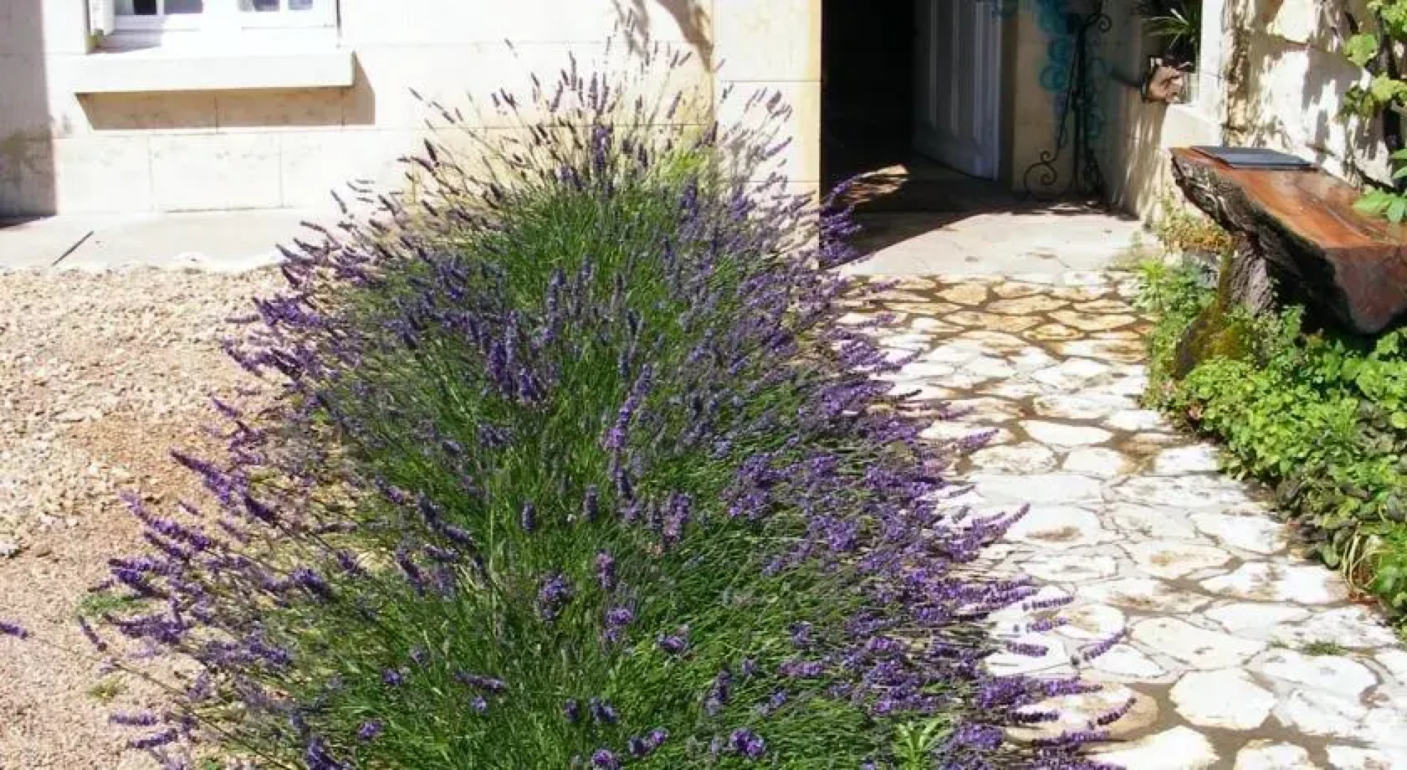 Maison Lavande Chambres dHôtes