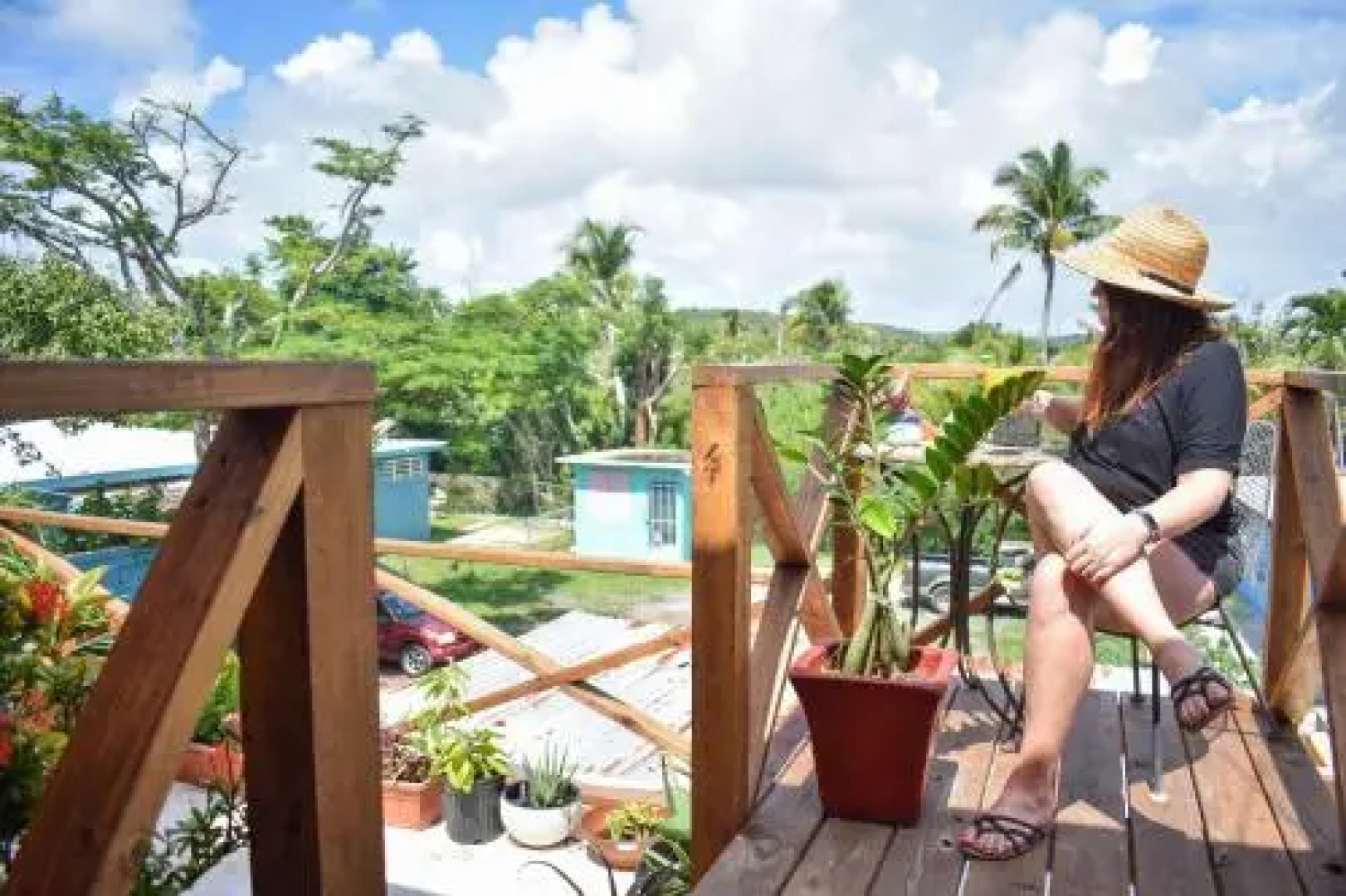 Flamboyan Guest House