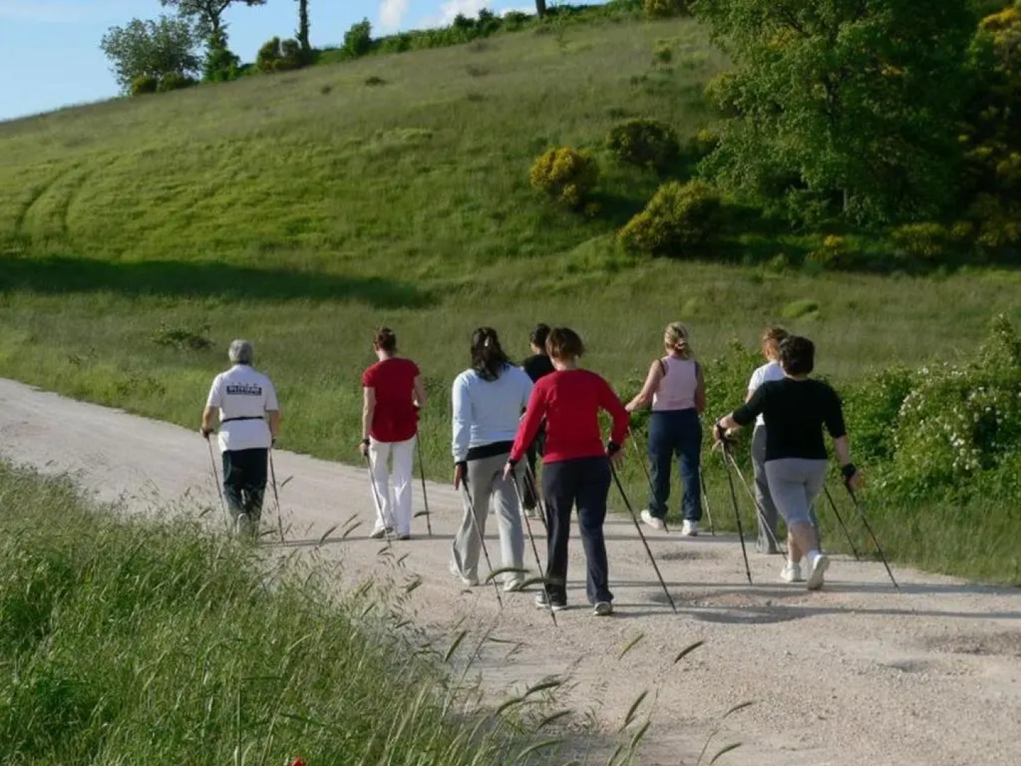 Guest Apartament Clarice