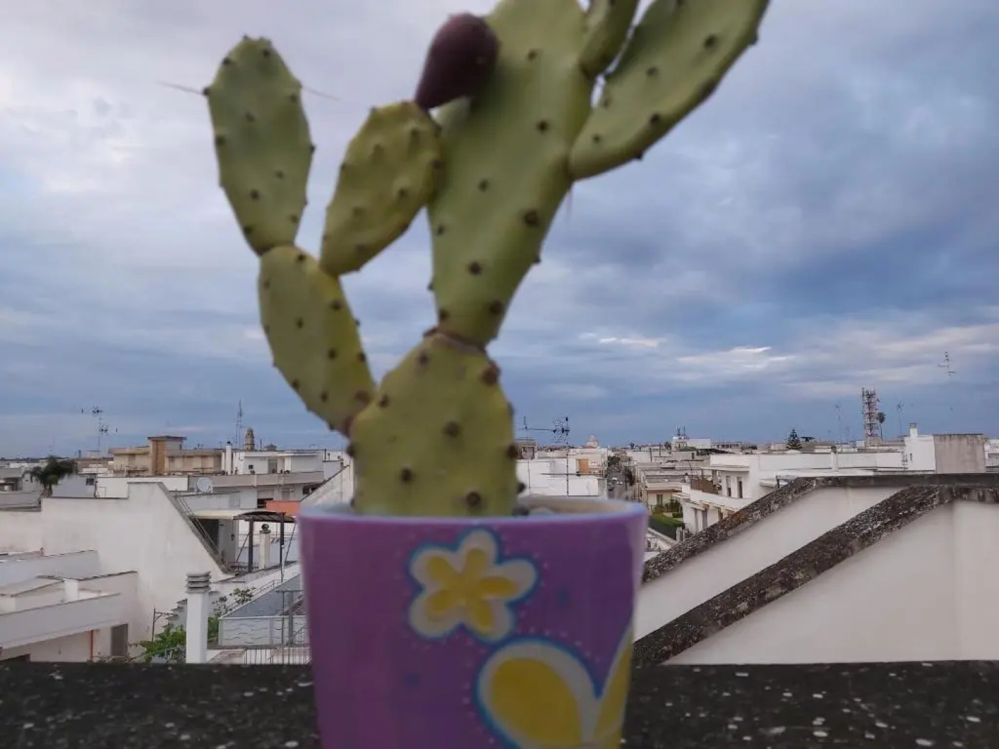 Casa Vacanza Nord Salento